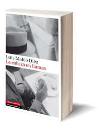 La cabeza en llamas de Luis Mateo Díez.