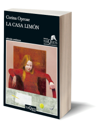 La casa limón de Corina Oproae.